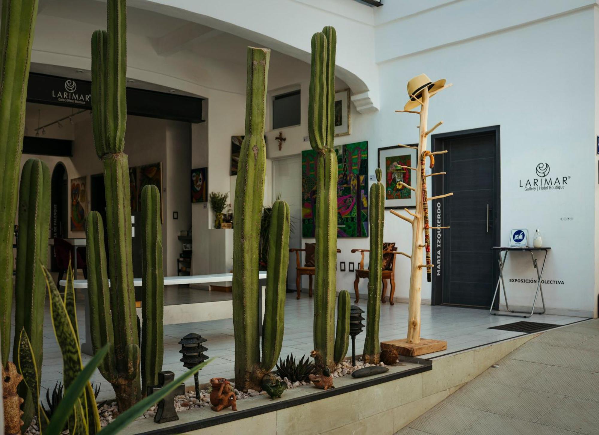 Larimar Gallery Y Hotel Boutique Oaxaca Exteriér fotografie